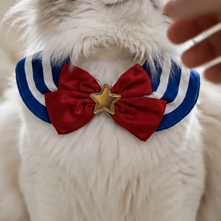 Bowknot Pet Bib video cover