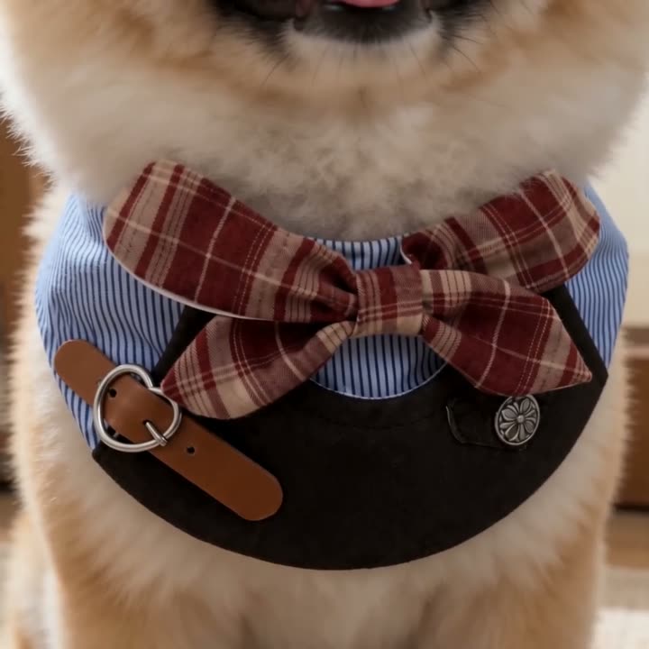 British Bowknot Pet Bib video cover