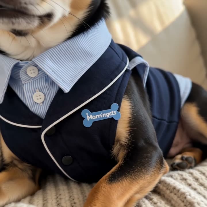Navy Stripe Pet Suit video cover