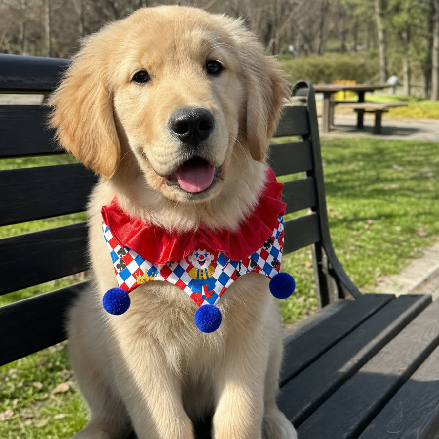 golden retriever puppy with Joker Pet Bib in a sunny park bench