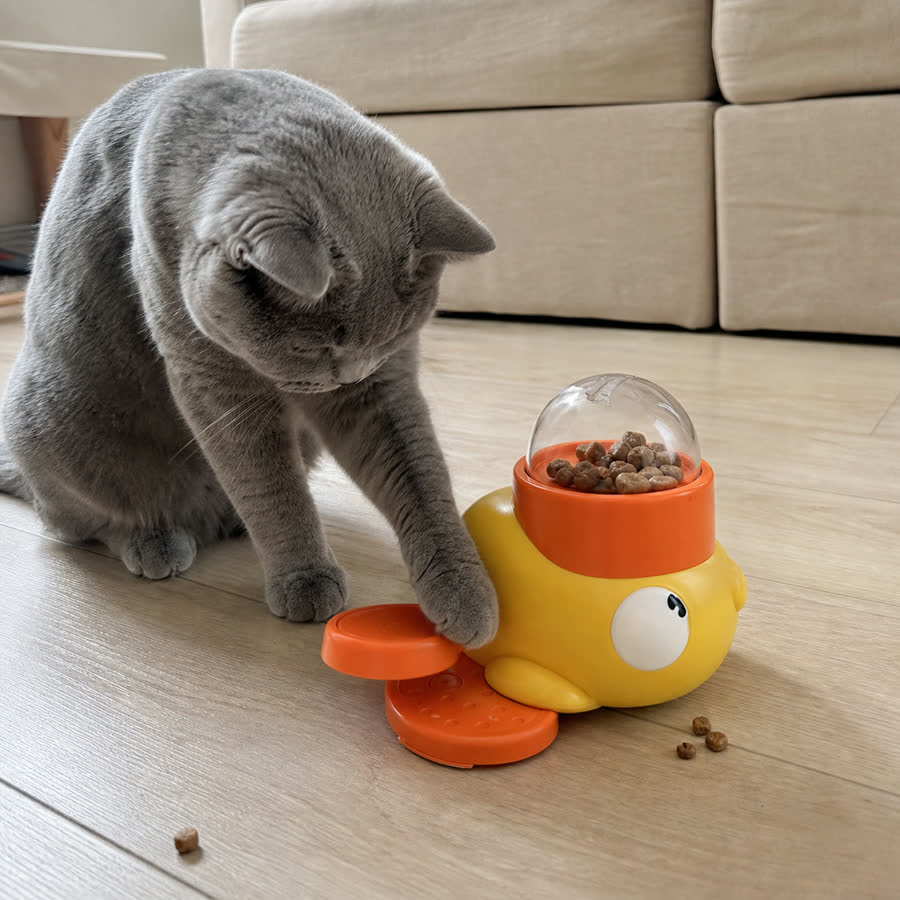 British shorthair cat with Press-and-Treat Pet Toy in a low sofa in natural light