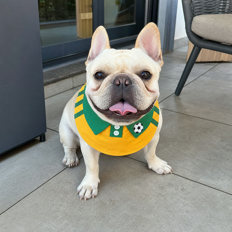 French bulldog wearing the Summer Football Pet Bib on a patio